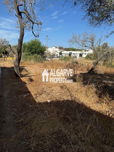 Image No.7-Terre à vendre à Almancil