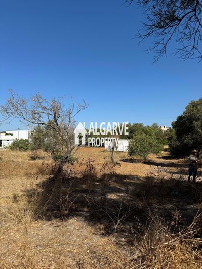 Image No.8-Terre à vendre à Almancil