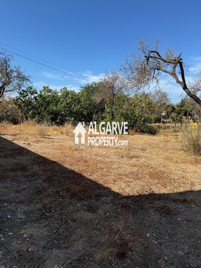 Image No.9-Terre à vendre à Almancil