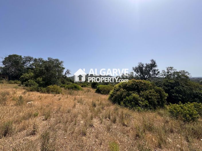 Image No.33-Terre à vendre à Vale Formoso