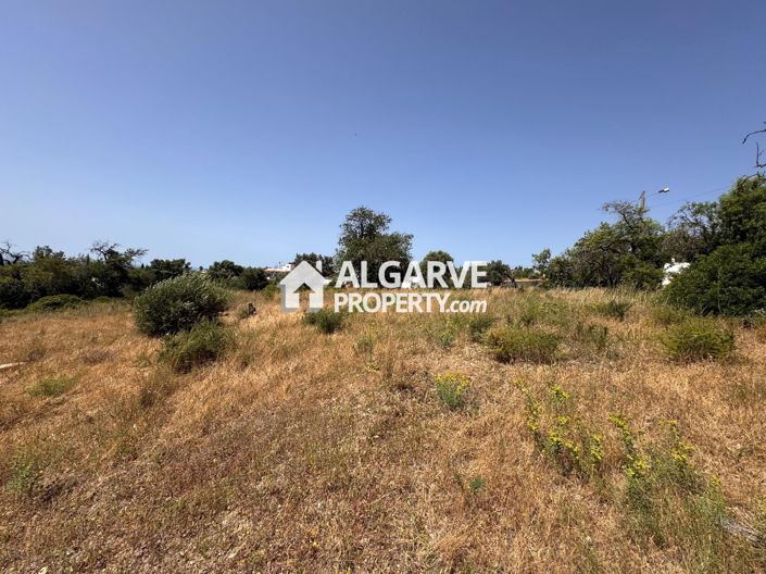 Image No.35-Terre à vendre à Vale Formoso