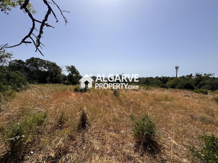 Image No.36-Terre à vendre à Vale Formoso