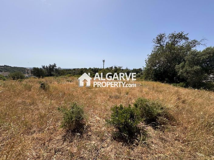 Image No.38-Terre à vendre à Vale Formoso