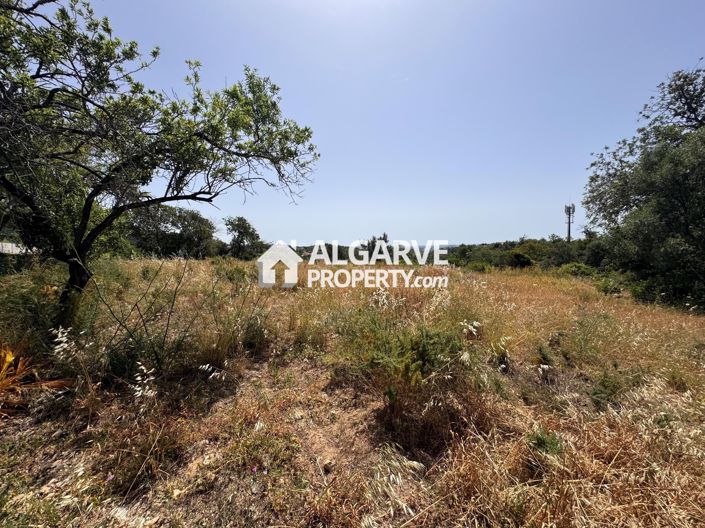 Image No.39-Terre à vendre à Vale Formoso