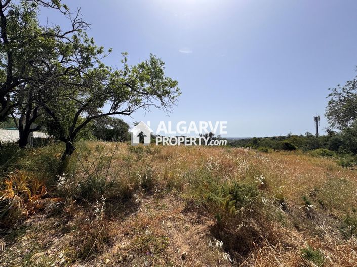 Image No.40-Terre à vendre à Vale Formoso