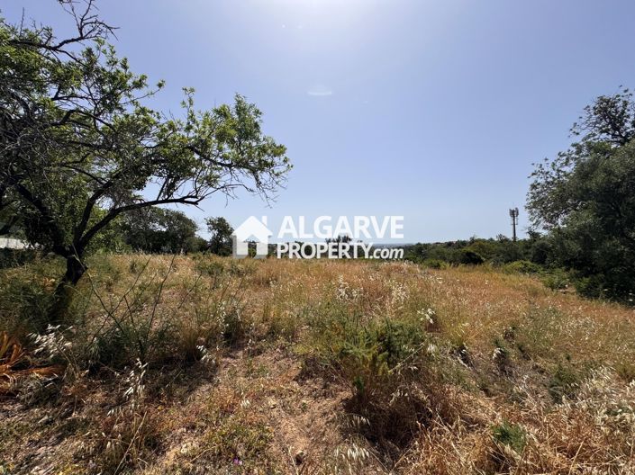 Image No.41-Terre à vendre à Vale Formoso