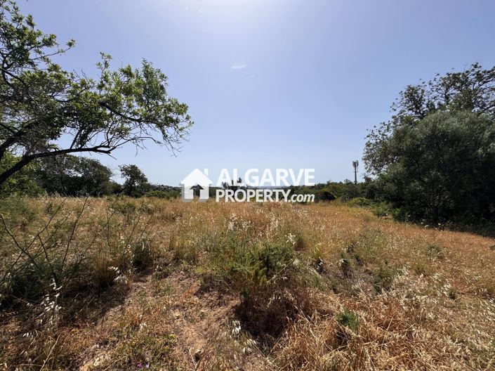 Image No.42-Terre à vendre à Vale Formoso