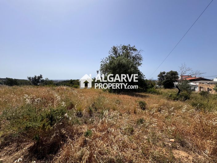 Image No.43-Terre à vendre à Vale Formoso