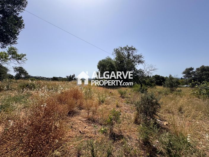 Image No.45-Terre à vendre à Vale Formoso