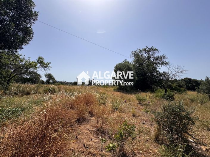 Image No.46-Terre à vendre à Vale Formoso