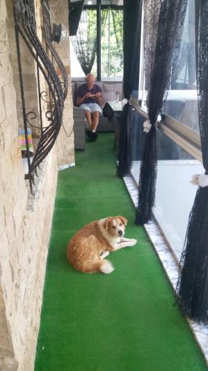 Image No.36-Maison de 4 chambres à vendre à Kusadasi