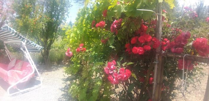 Image No.13-2 Bed Villa / Detached for sale