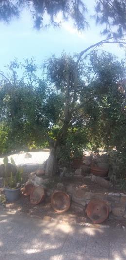 Image No.20-2 Bed Villa / Detached for sale