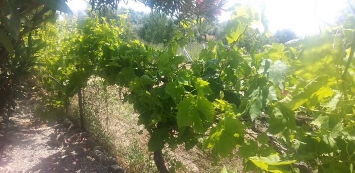 Image No.28-2 Bed Villa / Detached for sale