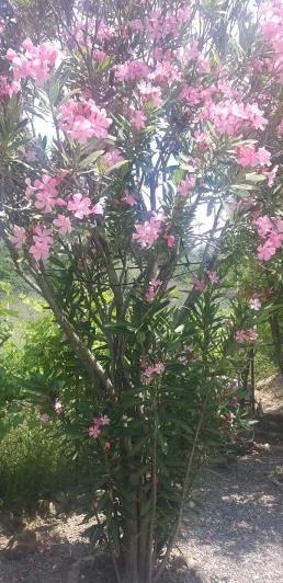 Image No.46-2 Bed Villa / Detached for sale