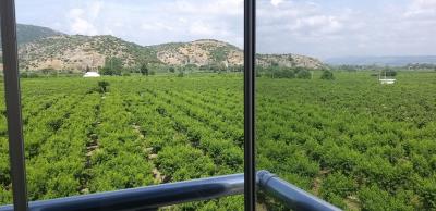 8fe7e11c-509f-4e7f-b438-dcabb295b6f6