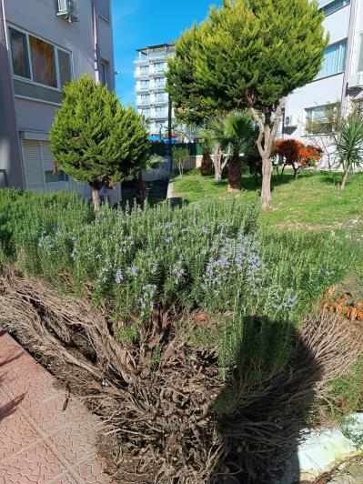 Image No.13-3 Bed Apartment for sale