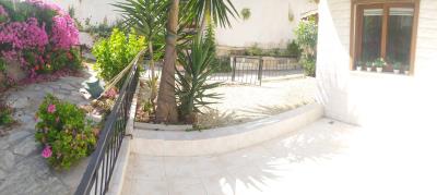 WhatsApp-Image-2024-06-27-at-11-02-31_90fb4ae7