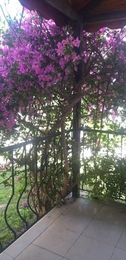 Image No.16-Maison de 3 chambres à vendre à Kusadasi