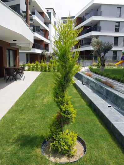 Image No.22-2 Bed Apartment for sale