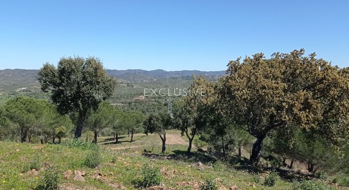 Image No.18-Plot for sale