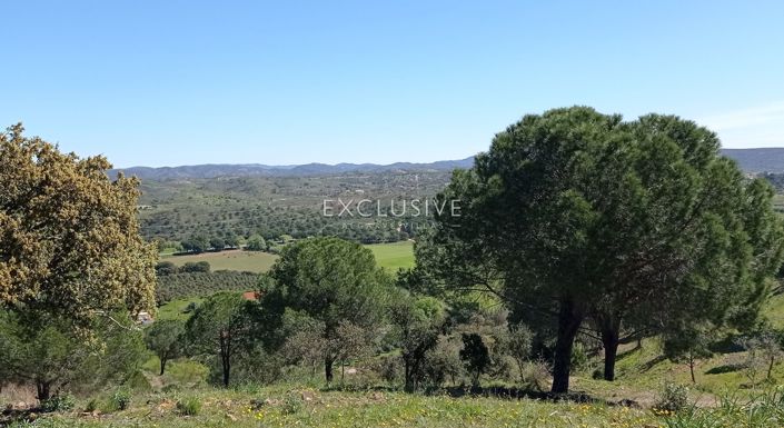 Image No.19-Plot for sale