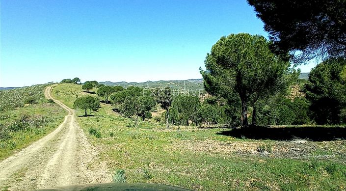 Image No.23-Plot for sale