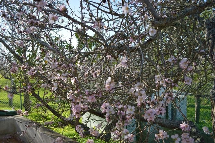 Image No.10-1 Bed Plot for sale