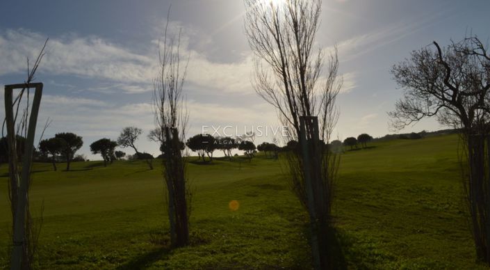 Image No.19-1 Bed Plot for sale