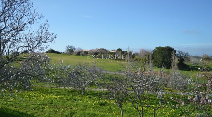 Image No.29-1 Bed Plot for sale