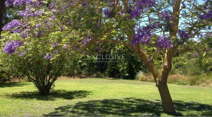 Image No.12-Villa de 5 chambres à vendre à Portimao