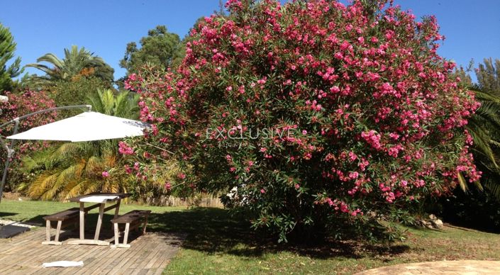Image No.13-Villa de 5 chambres à vendre à Portimao