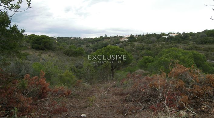 Image No.11-Plot for sale