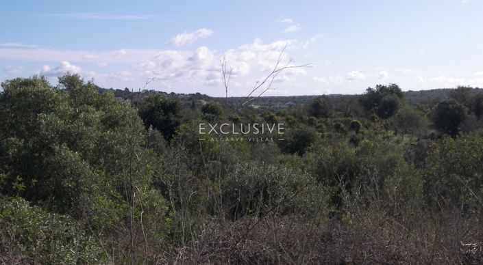 Image No.3-Plot for sale