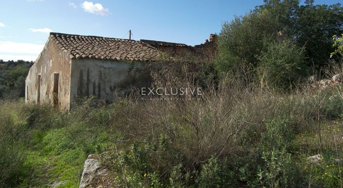 Image No.7-Plot for sale