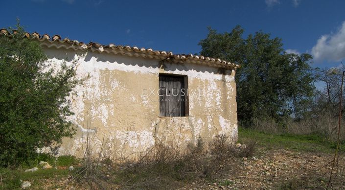 Image No.8-Plot for sale