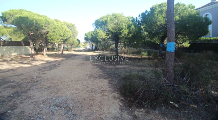 Image No.4-Plot for sale