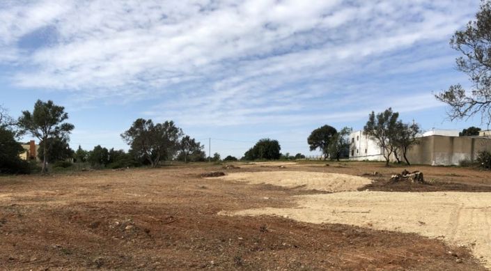 Image No.6-Plot for sale