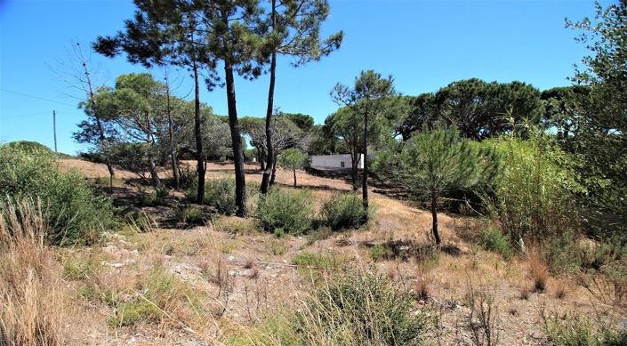 Image No.12-Plot for sale