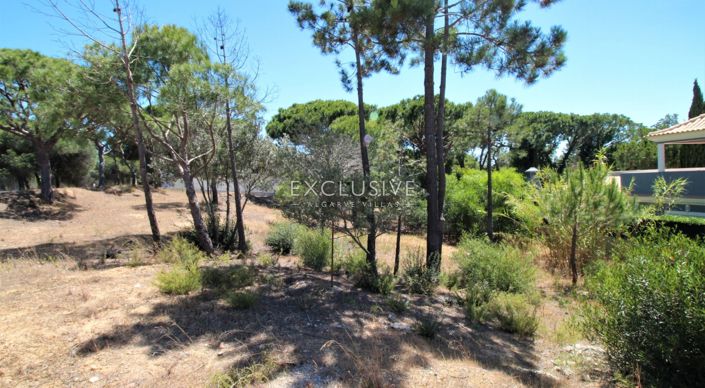 Image No.2-Plot for sale