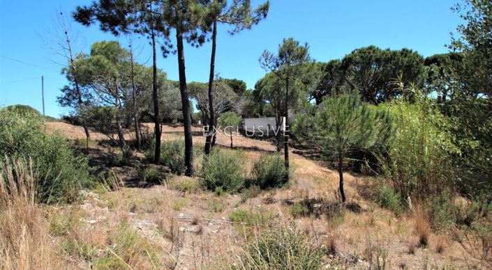 Image No.6-Plot for sale