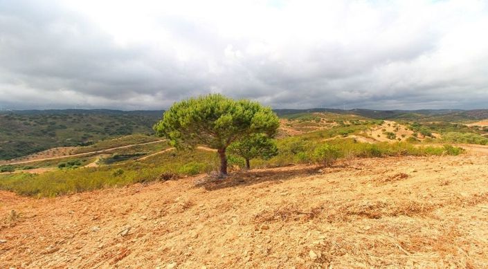 Image No.18-Plot for sale