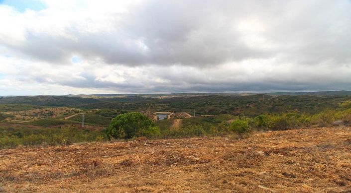 Image No.24-Plot for sale