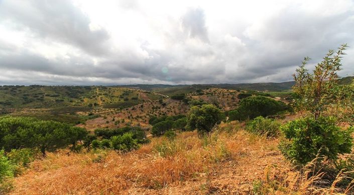 Image No.26-Plot for sale