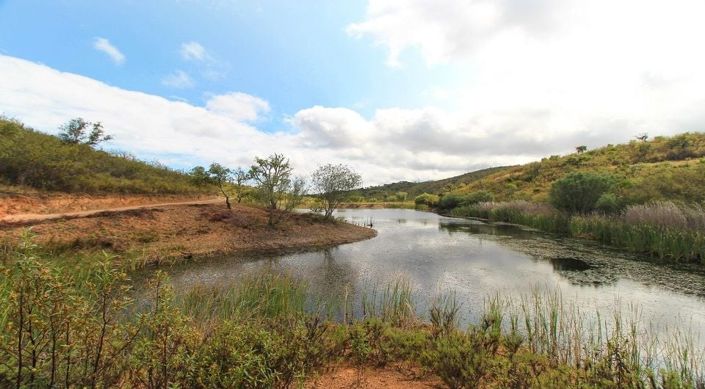 Image No.4-Plot for sale