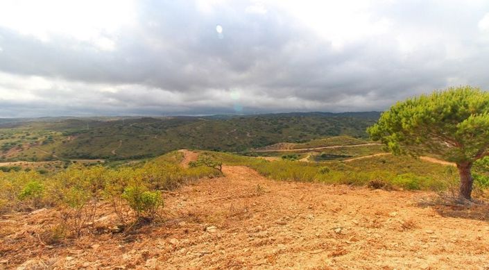 Image No.5-Plot for sale