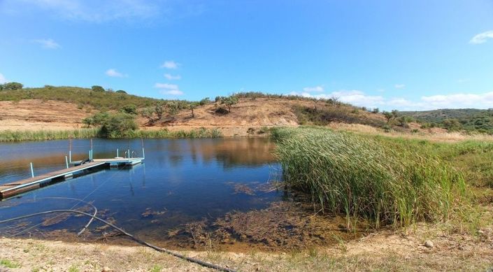 Image No.6-Plot for sale