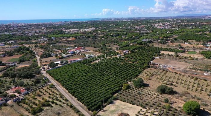 Image No.20-Plot for sale