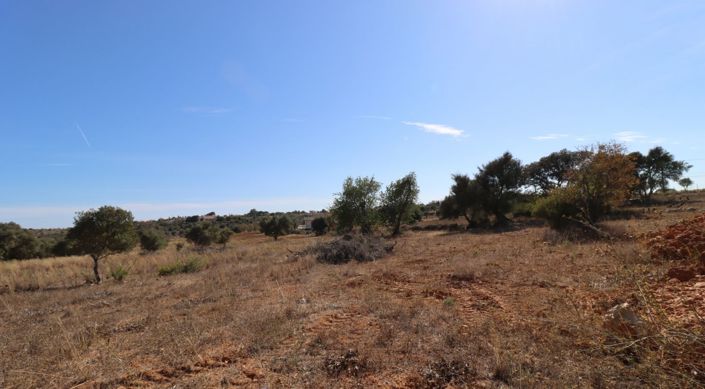 Image No.10-Villa de 4 chambres à vendre à Lagoa