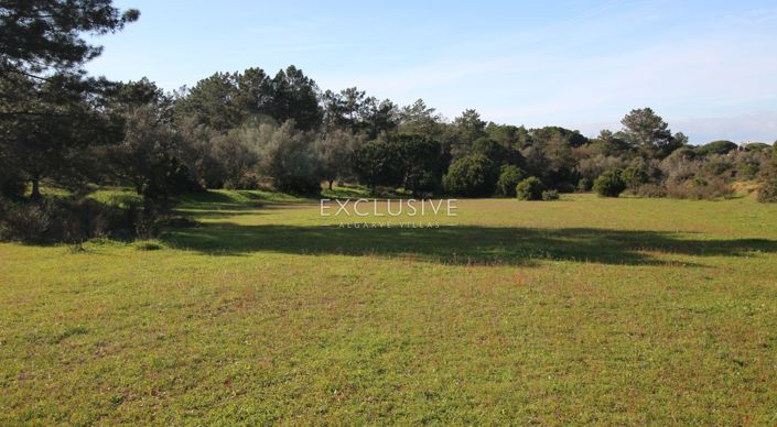 Image No.12-Plot for sale